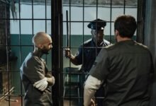 fraud detection and regulation