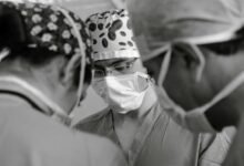 fraud detection verification team