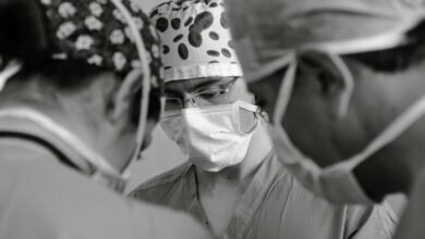 fraud detection verification team