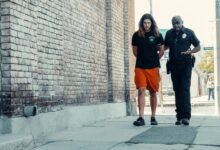 telecom contact numbers provided