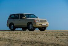 stable online model 617525770