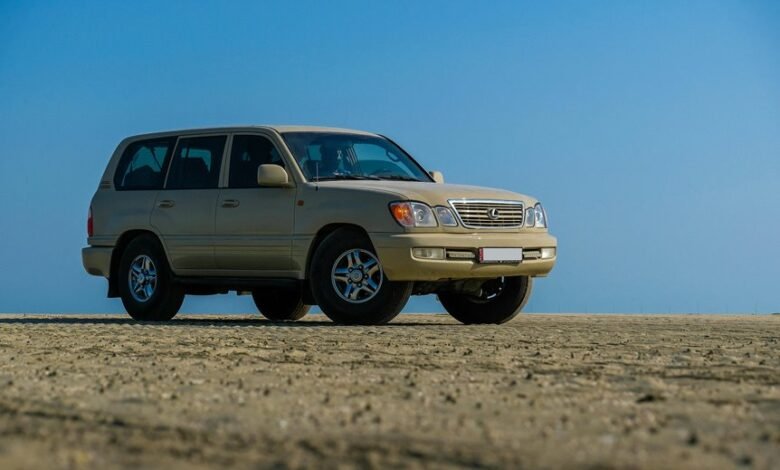 stable online model 617525770